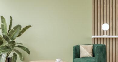 découvrez les dernières tendances en matière de peinture pour la rénovation de votre intérieur. trouvez des inspirations de couleurs, des techniques audacieuses et des conseils d'experts pour transformer vos espaces avec style.